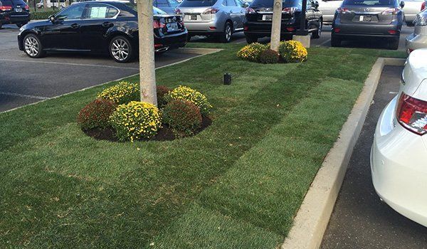 Images Gold Coast Property Maintenance, Inc.