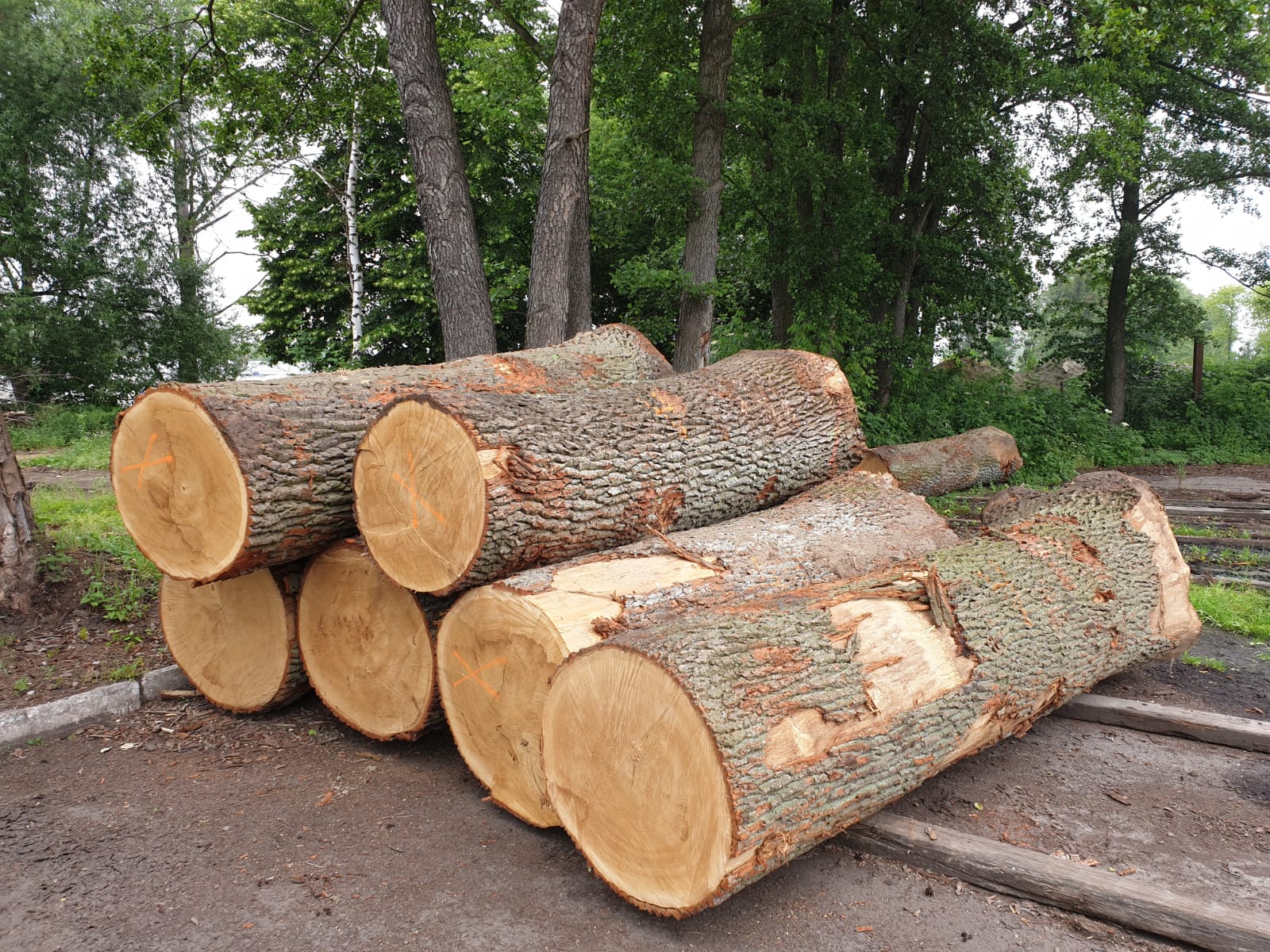 Images Maesmi Maderas