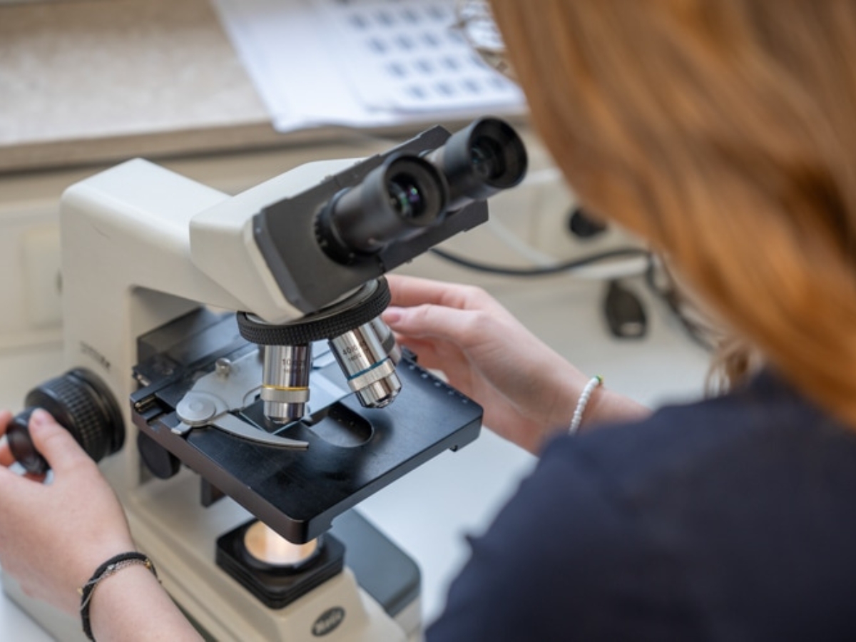 Bild 18 Tierarzt Hülsmann Speyer, Kleintierpraxis Dres. Hülsmann in Speyer