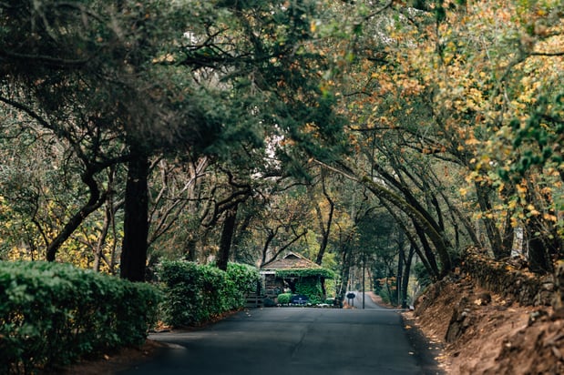 Images Meadowood Napa Valley