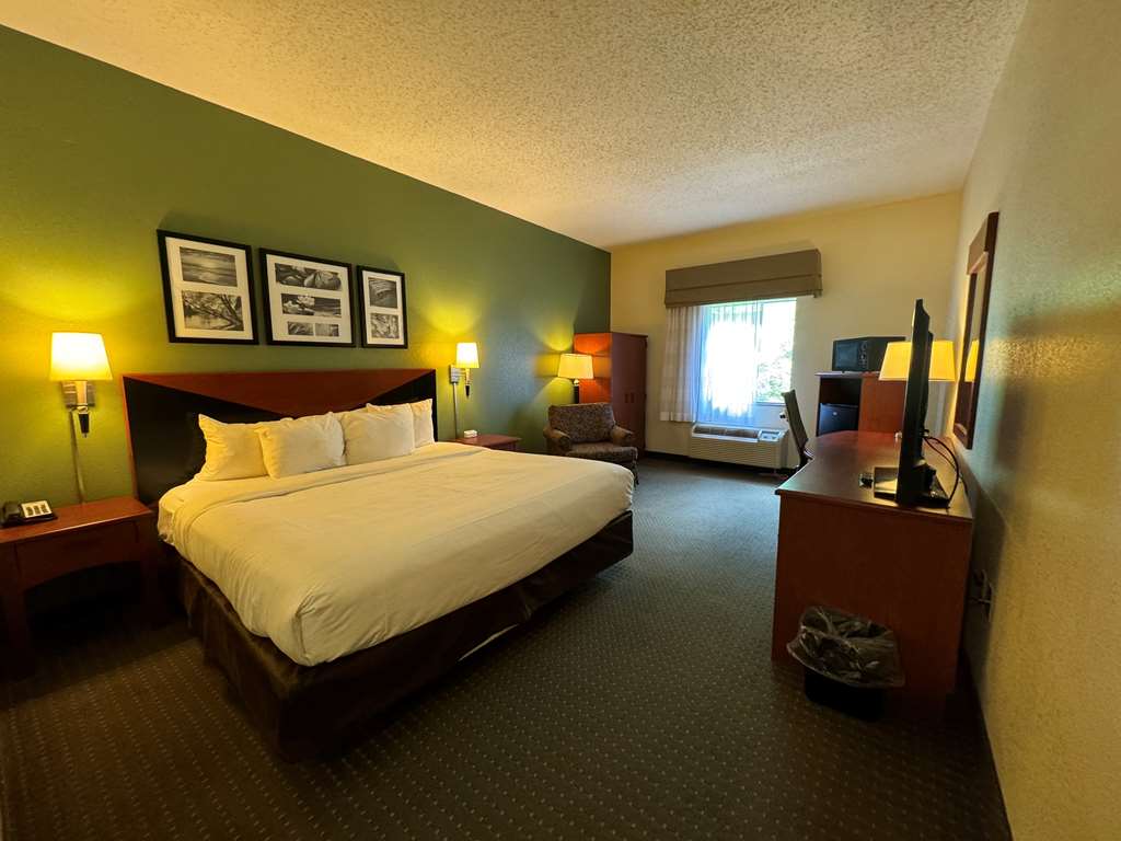 King Guestroom