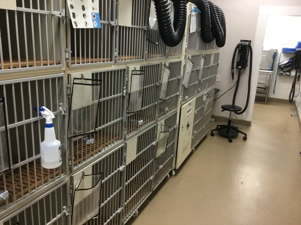 Images Petco