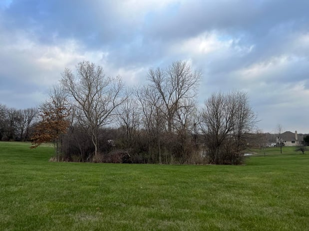 Images RED'S Forestry Mulching