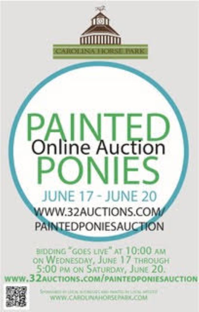 Painted Ponies Auction ONLINE Moore Equine Feed & Pet Supply