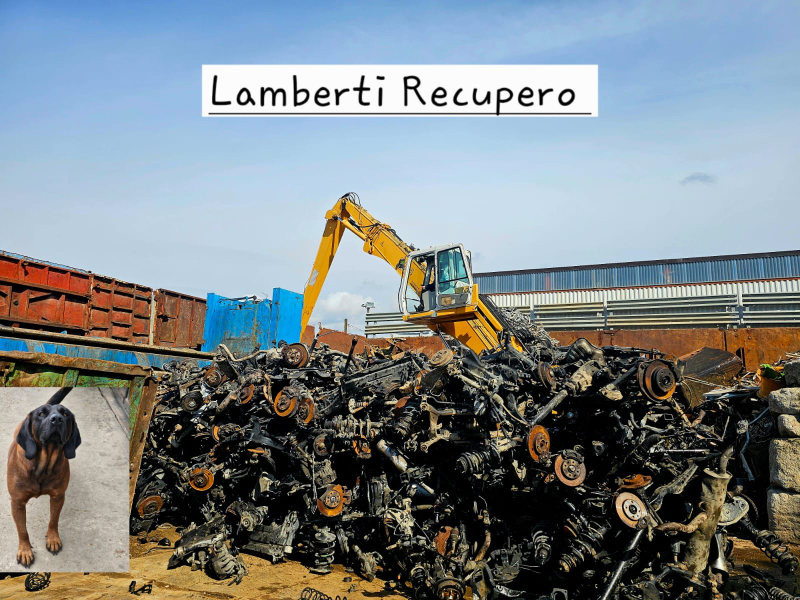 Images Lamberti Marco Materiale Ferroso