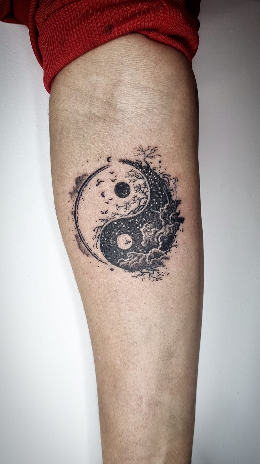 Images Noctaris Tattoo