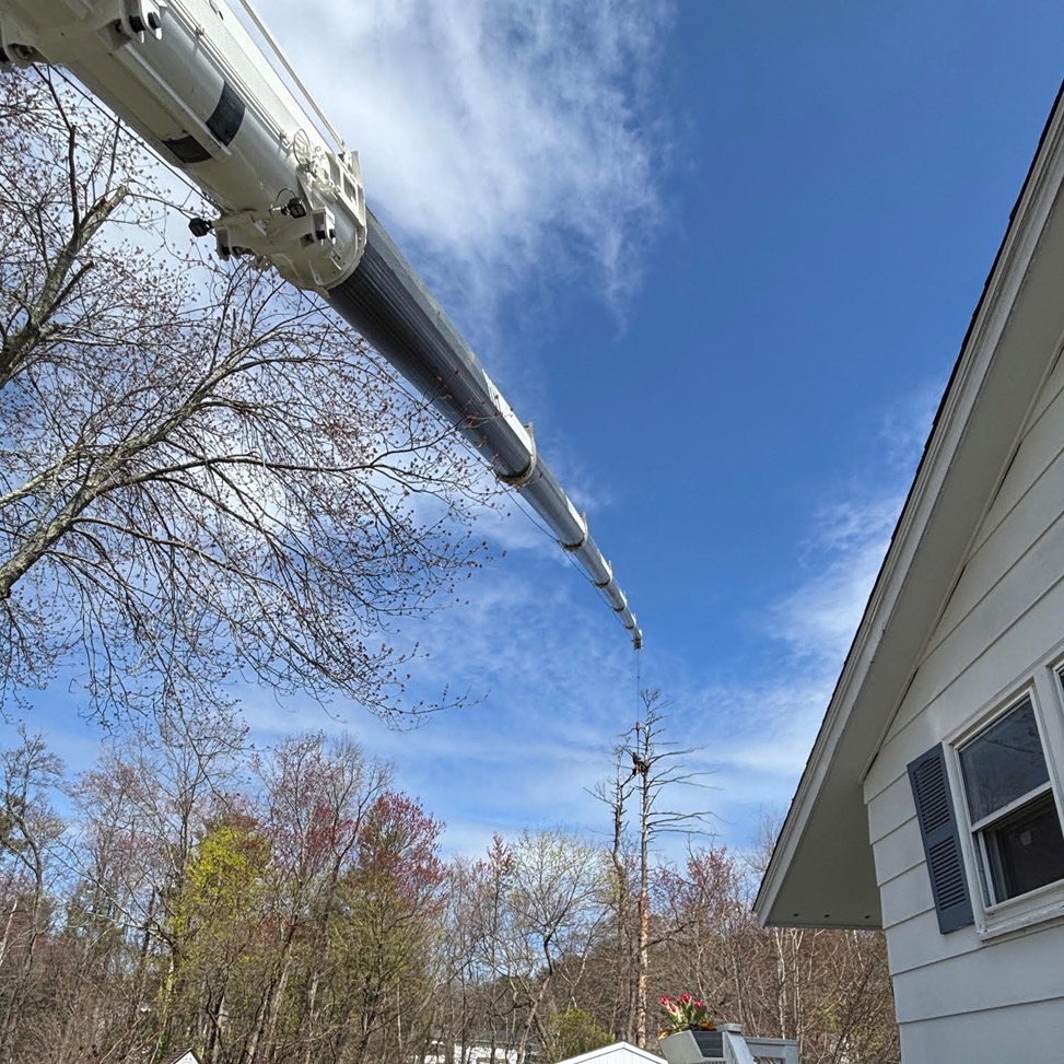 Martel Crane Service & Tree Removal used long-reach crane capabilities to safely remove a dead tree located close to the home and backyard area.