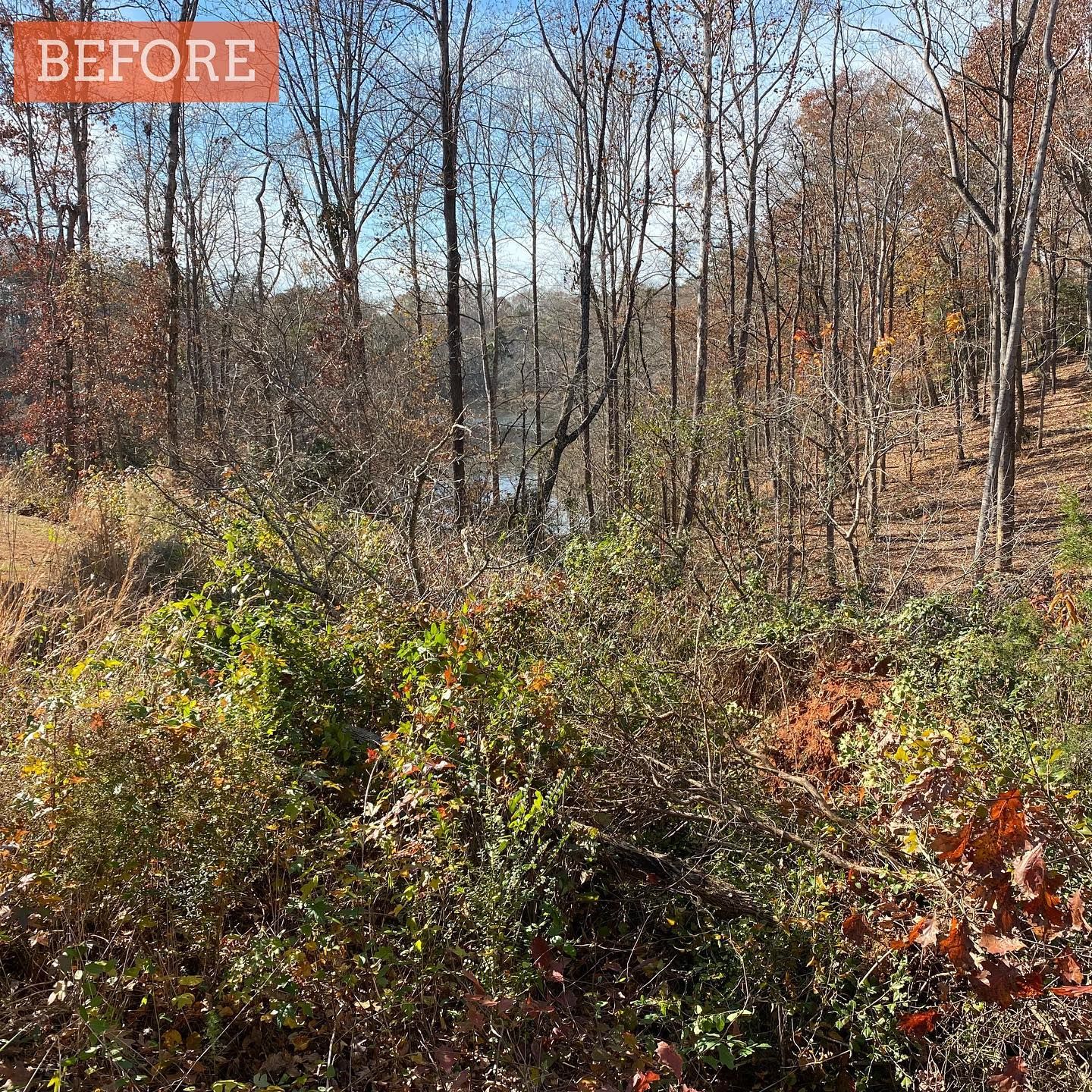 Heritage Land Management Image