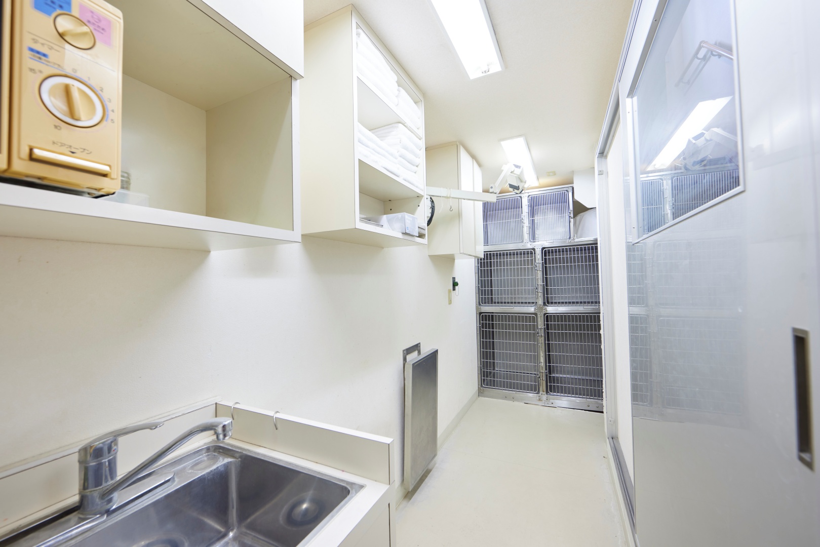 Images 江島動物病院 PAL動物病院グループ