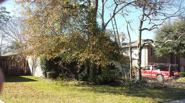 Images TNT Tree Service
