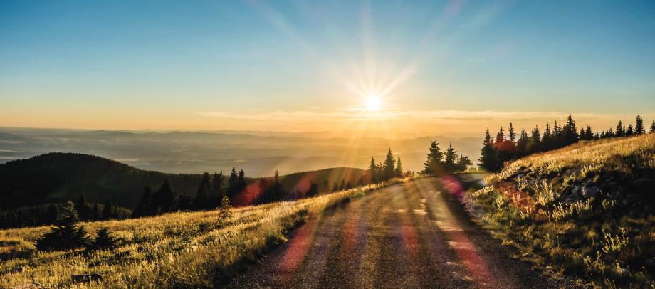 Explore the hiking trails on Mt. Spokane in summer or ski trails in winter