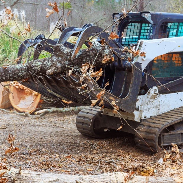 Images Spears Tree Experts Inc.