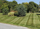 OCD Lawn Image