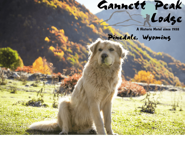 Images Gannett Peak Lodge