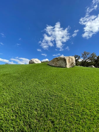 Images Waterloo Turf Austin