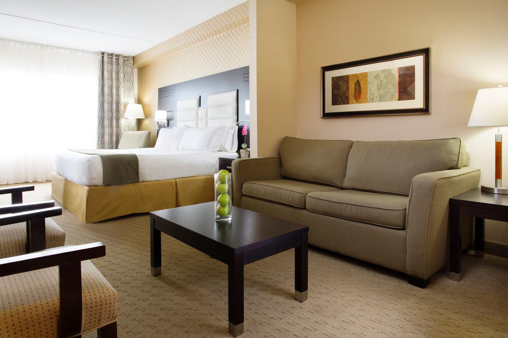 Images Holiday Inn Express & Suites Ottawa West - Nepean, an IHG Hotel