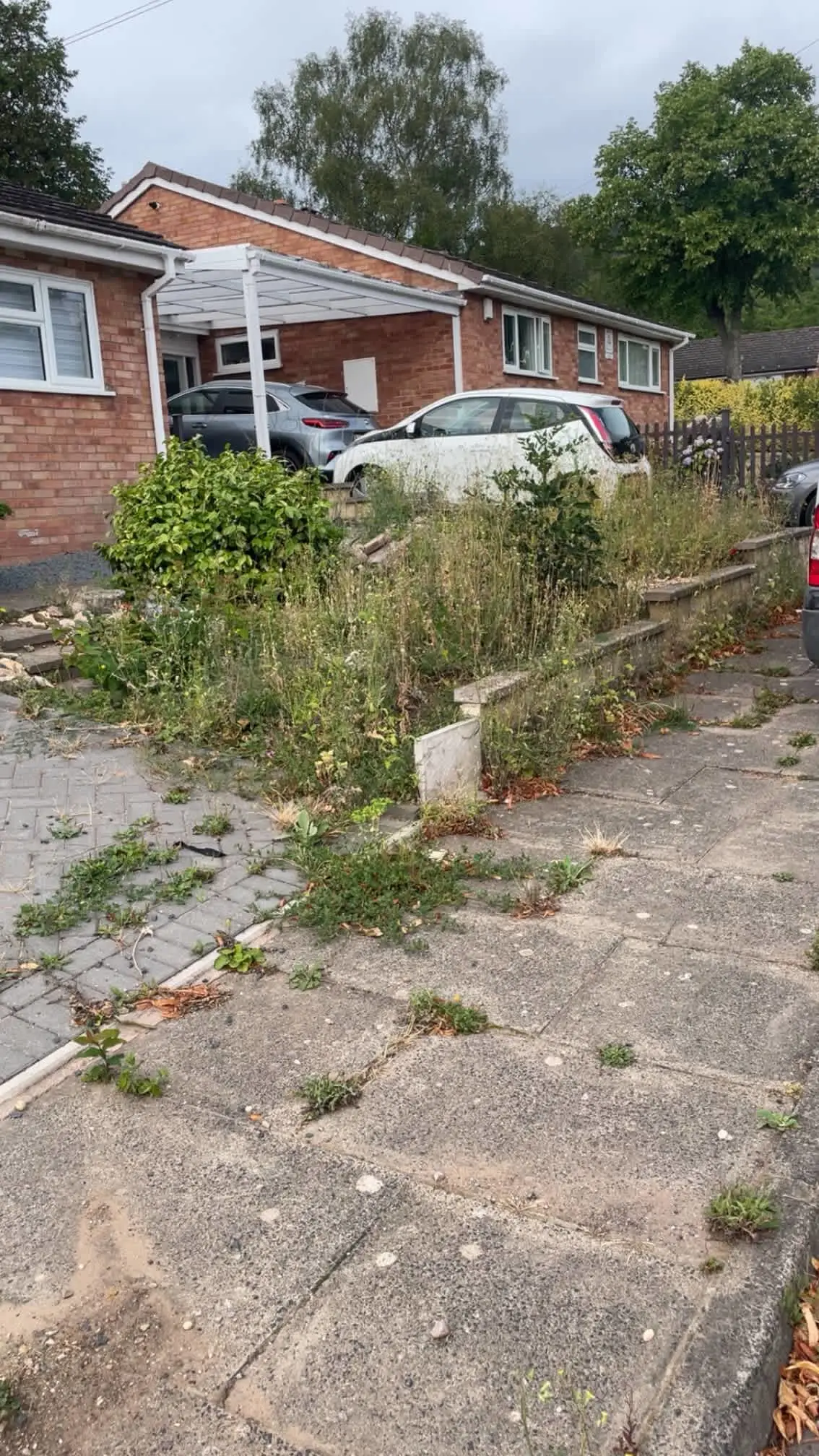 Images Oakwood Tree & Landscaping Services