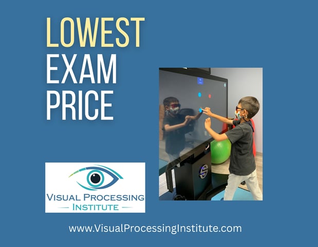Images Visual Processing Institute