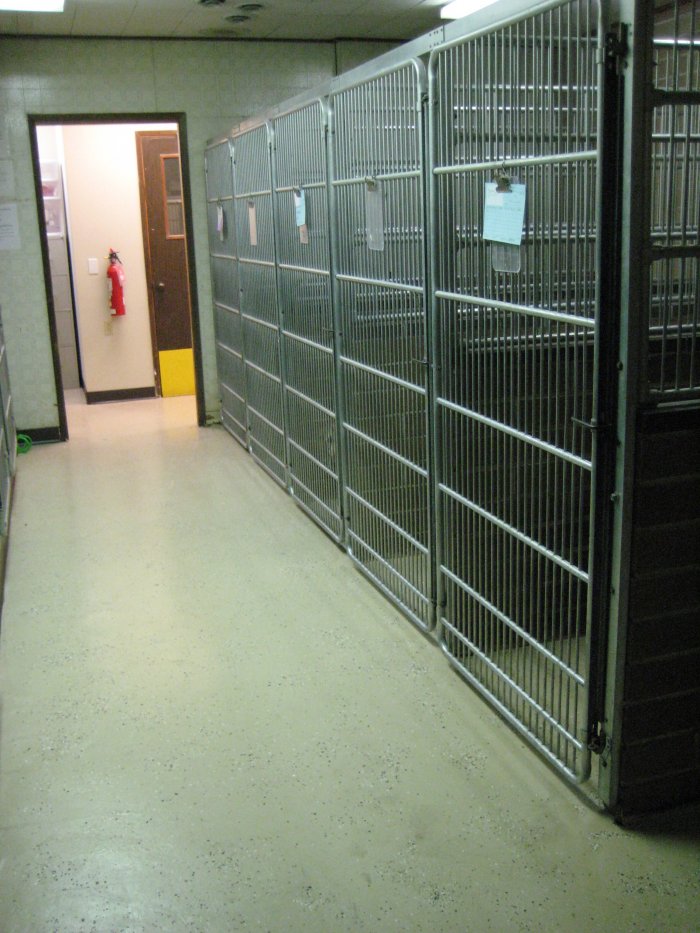 The kennel area at VCA Rose Hill Animal Hospital