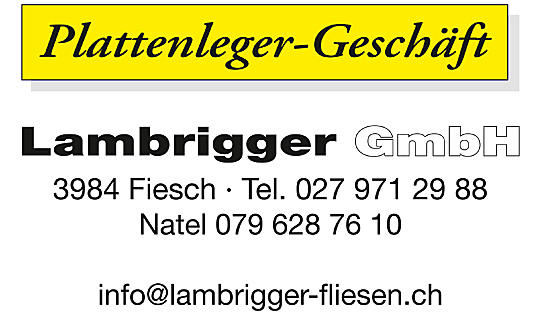 Bilder Plattenlegergeschäft Lambrigger GmbH