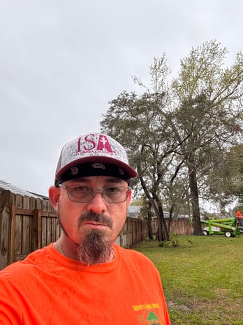 Images Trent's Tree Service The Neighborhood Arborist LLC