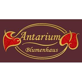 Logo Antarium Blumenhaus