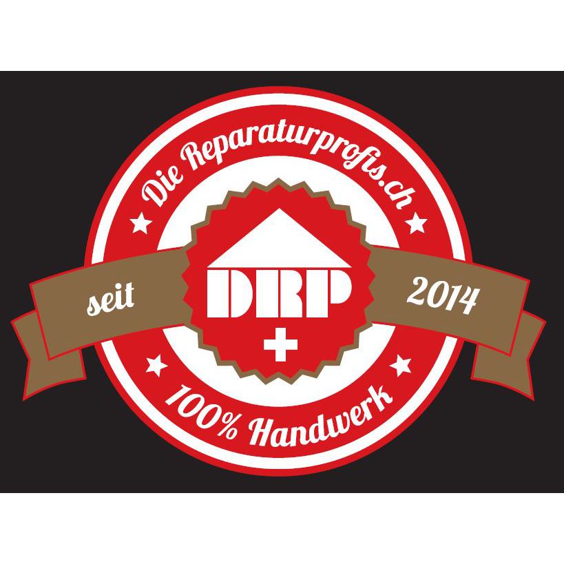 Die Reparaturprofis GmbH Logo