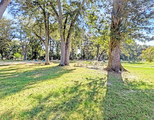 Images Oak Bend