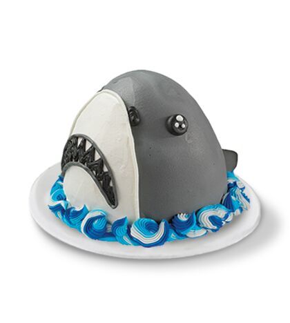 Baskin-Robbins Image