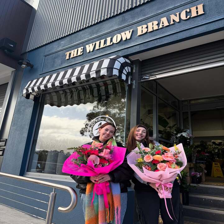 Images The Willow Branch