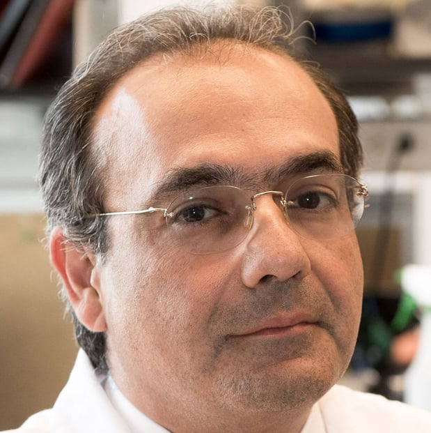Images Ali G Gharavi, MD