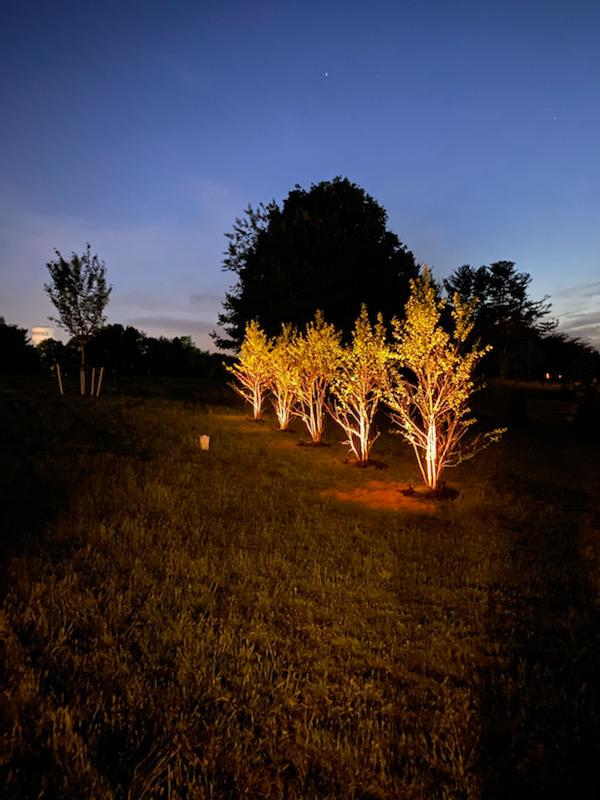 Images Exceptional Landscape Lighting and Irrigation LLC