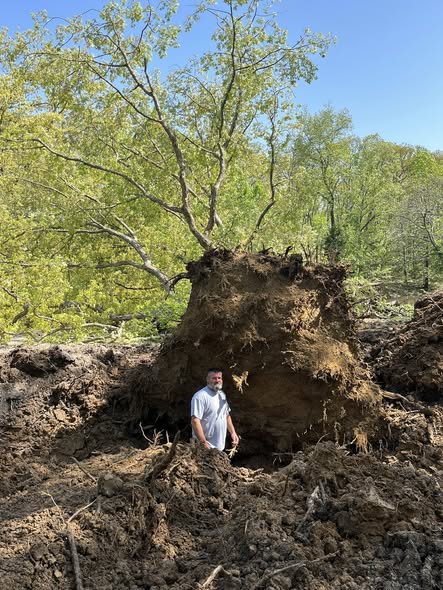 Yard Restoration, LLC. Image