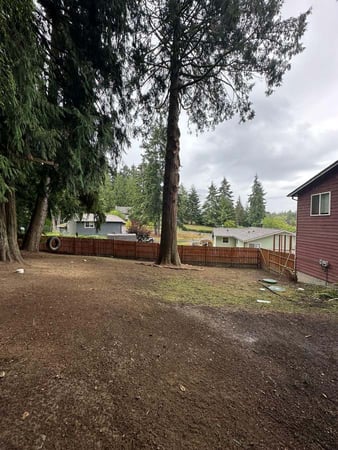 Images Brothers Tree service & Landscaping