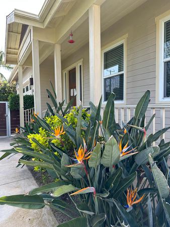 Images Akua Addiction Treatment For Women - Orange County