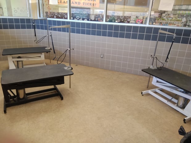 Images Petco