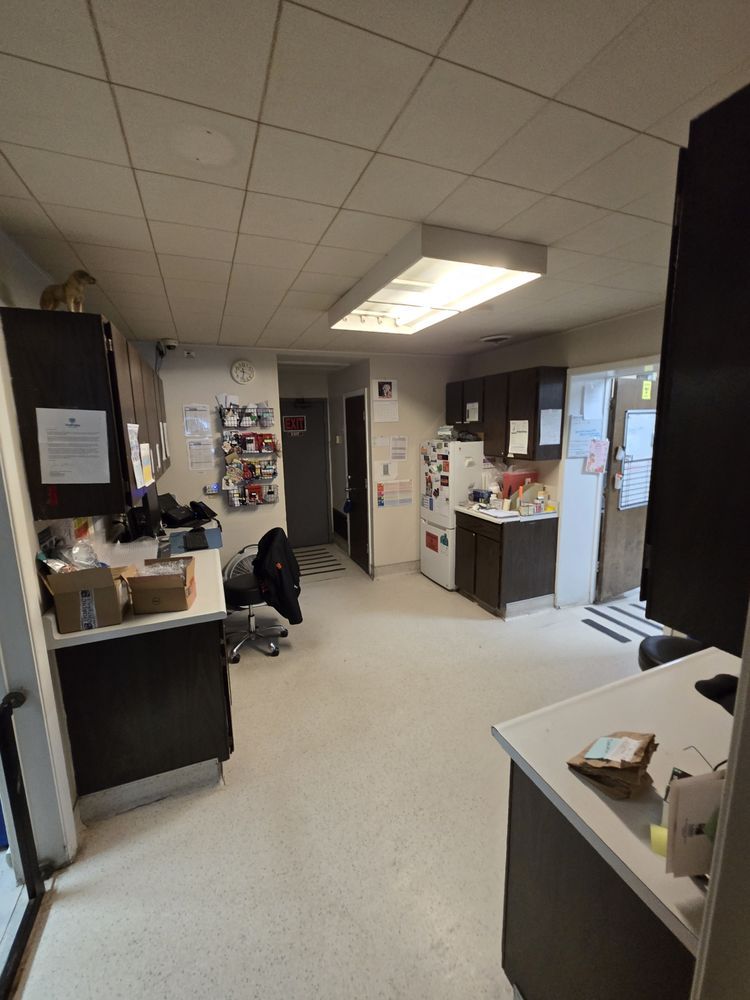 San Fran Electric Image