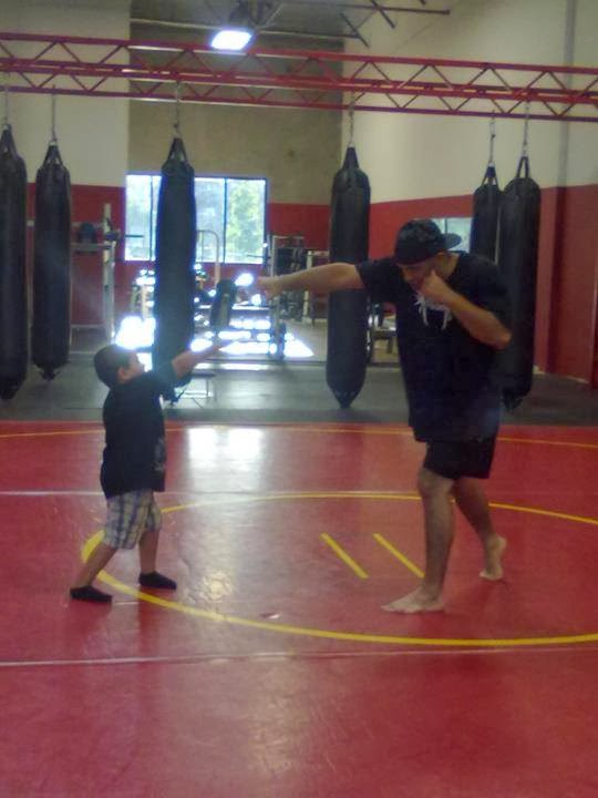 Images Aguirre's Fighting System