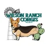 Wilson Ranch Corgis Logo