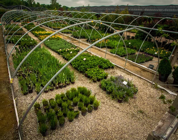 Images Superior Garden Center