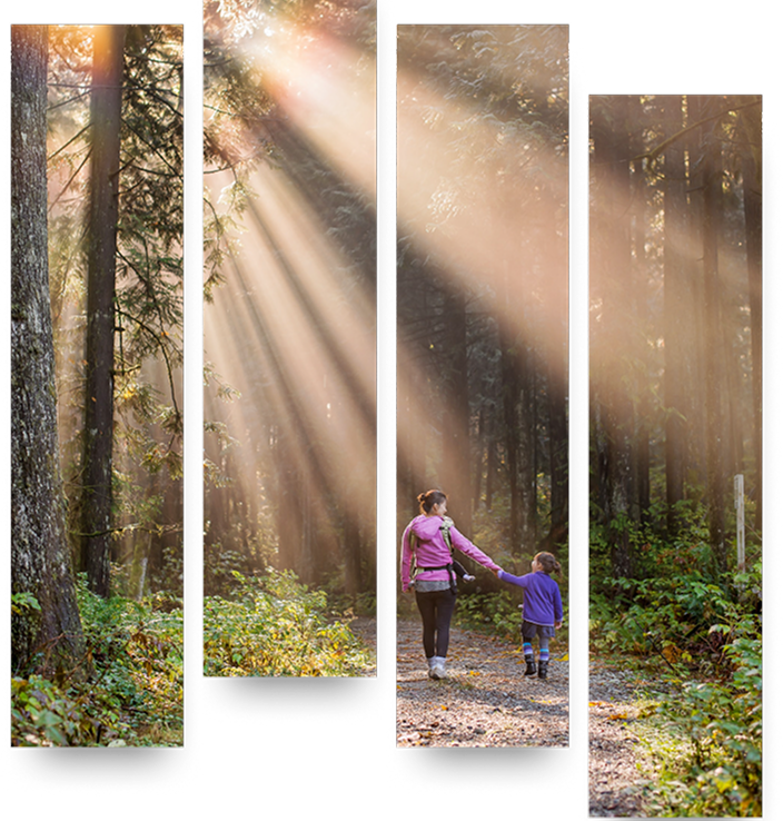 A mother and young daughter hiking in the forest where rays of sun are breaking through the giant evergreen trees to illuminate their path.