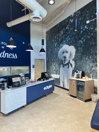 Images CityVet | Castle Hills Veterinary Clinic & Urgent Care