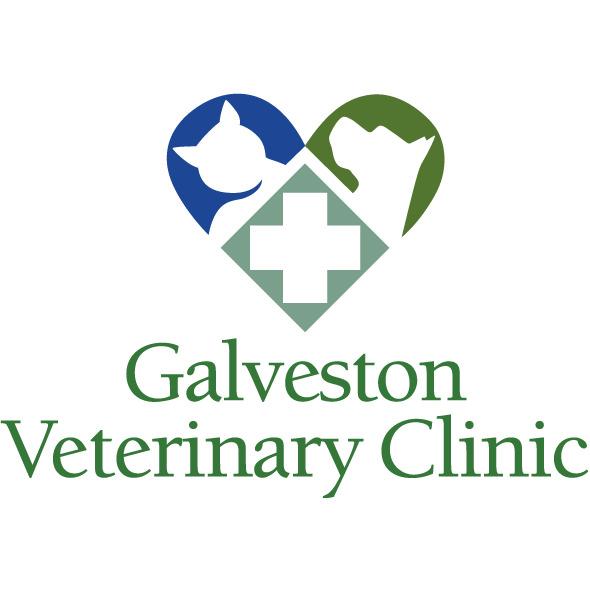 Galveston Veterinary Clinic