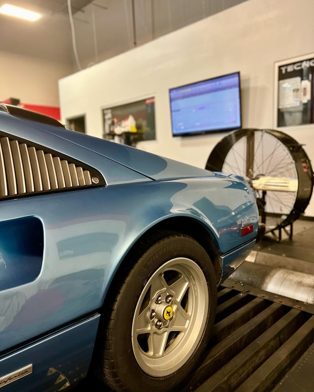 Images Loudoun County Exotics