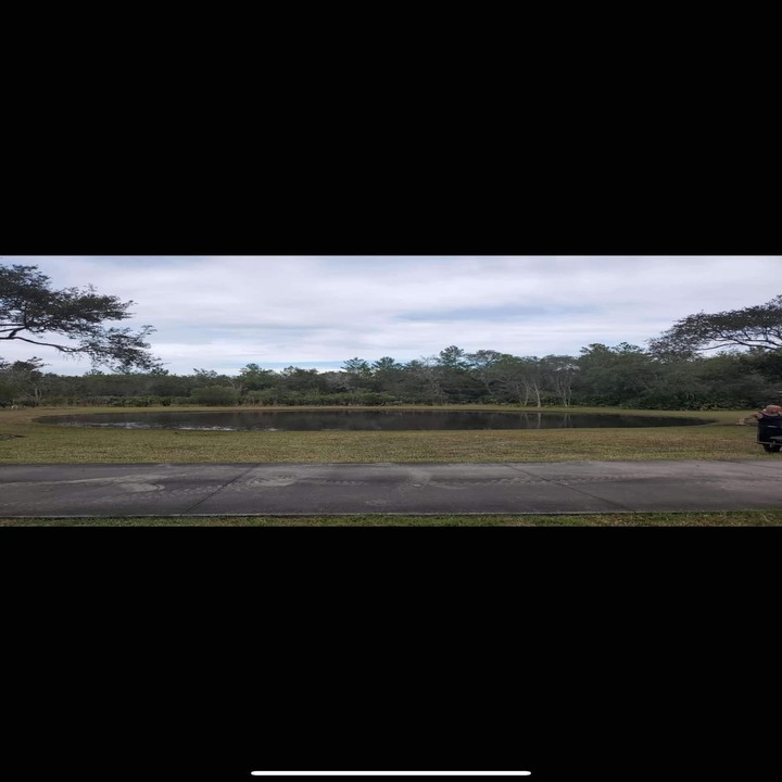 Images Custom Lakefronts and Tree Care LLC