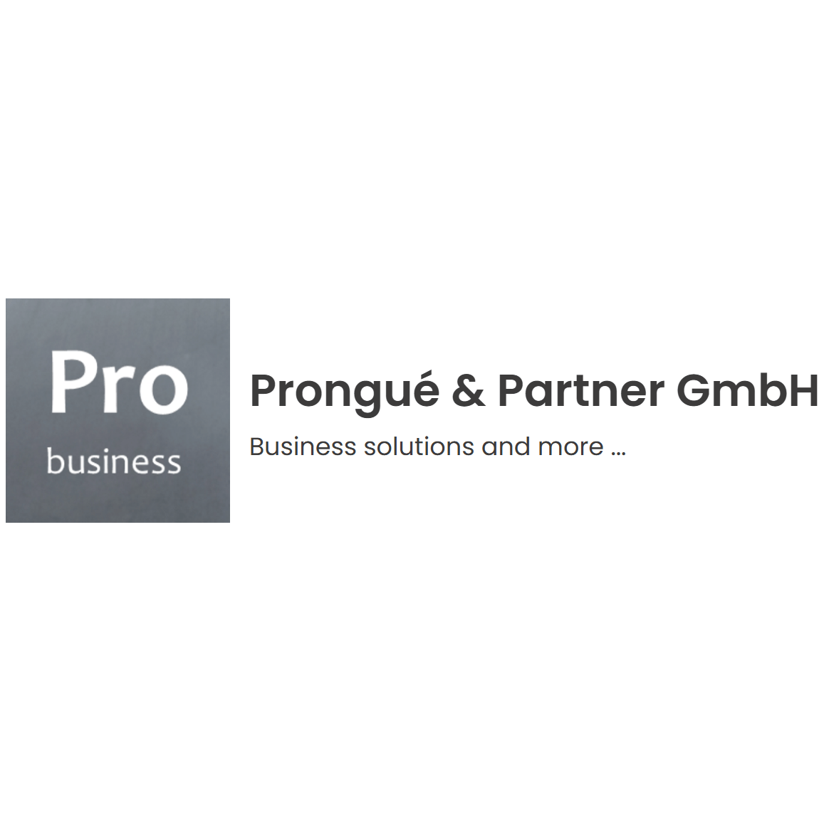 Prongué & Partner GmbH Logo