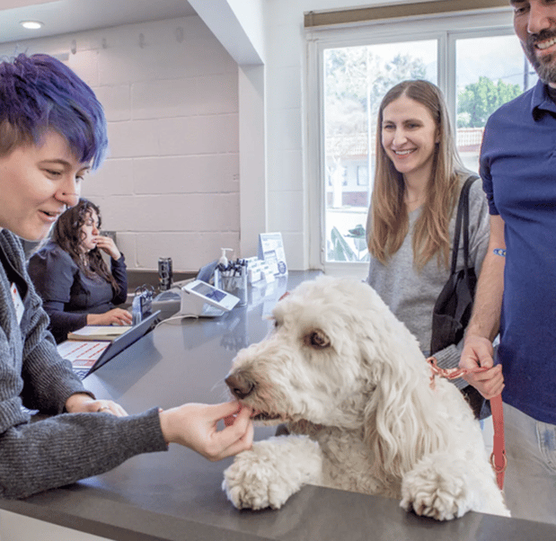 Images Crescenta Cañada Pet Hospital