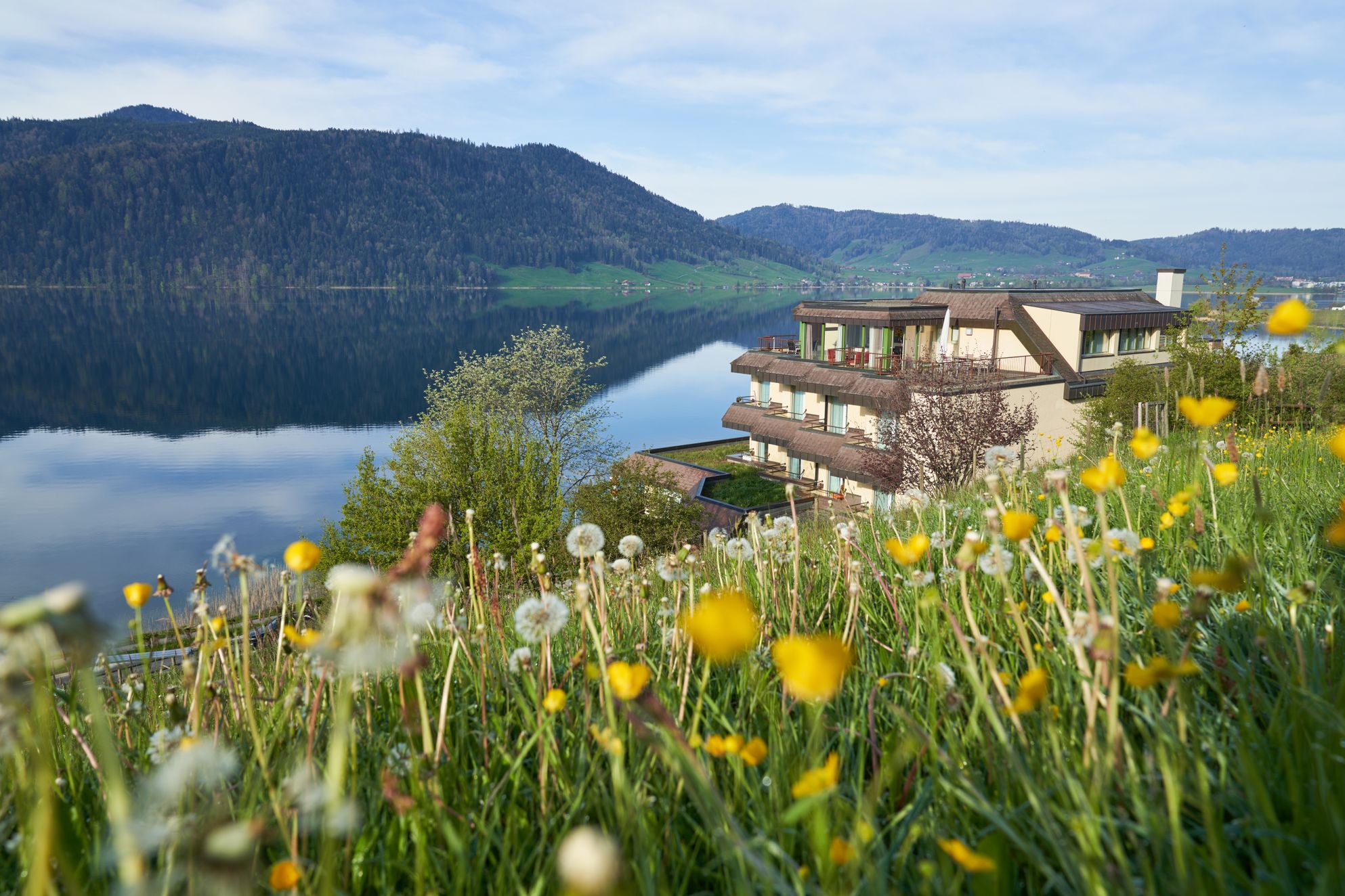 Bilder Zentrum Breiten