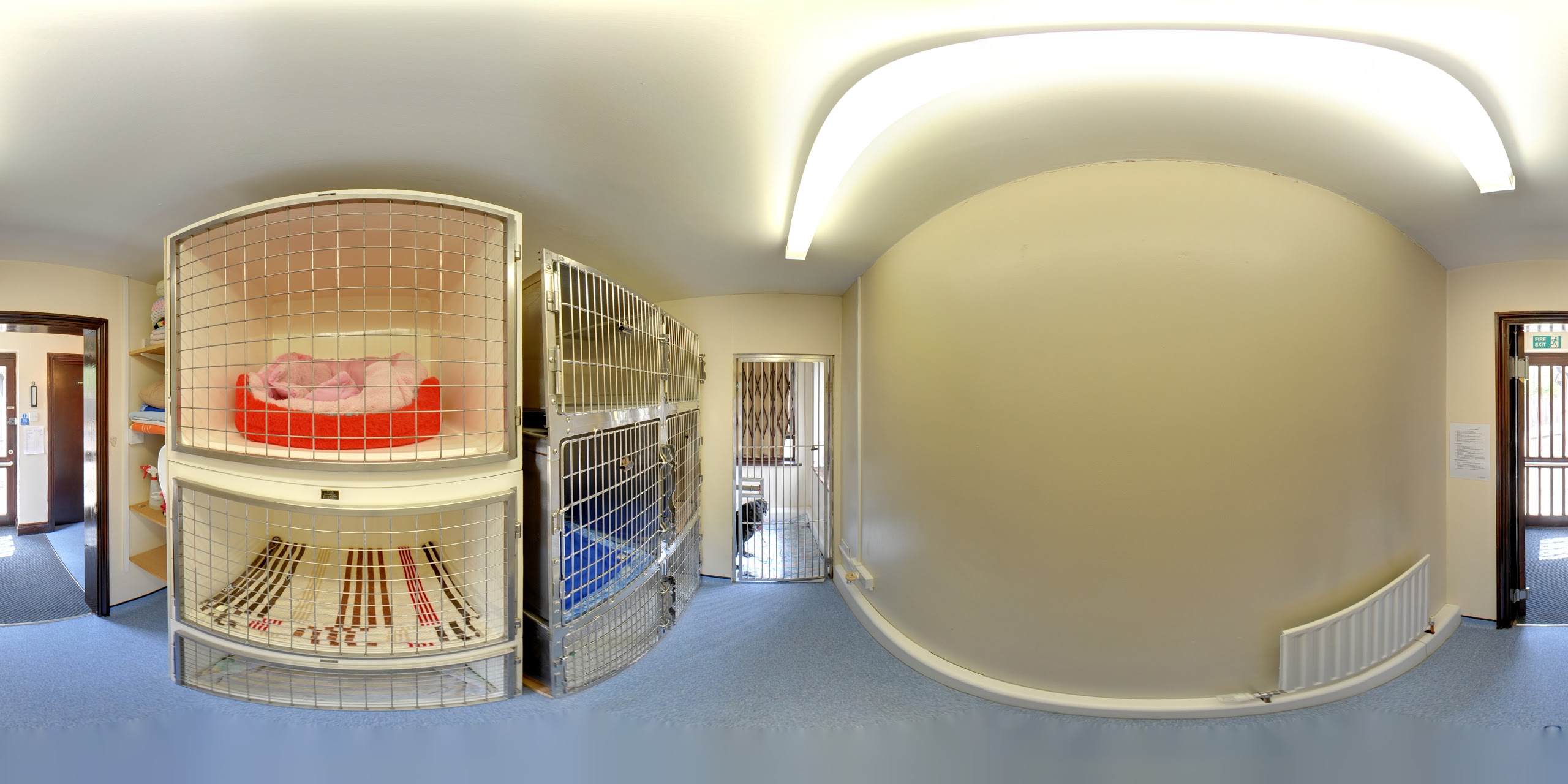Images The Animal Clinic
