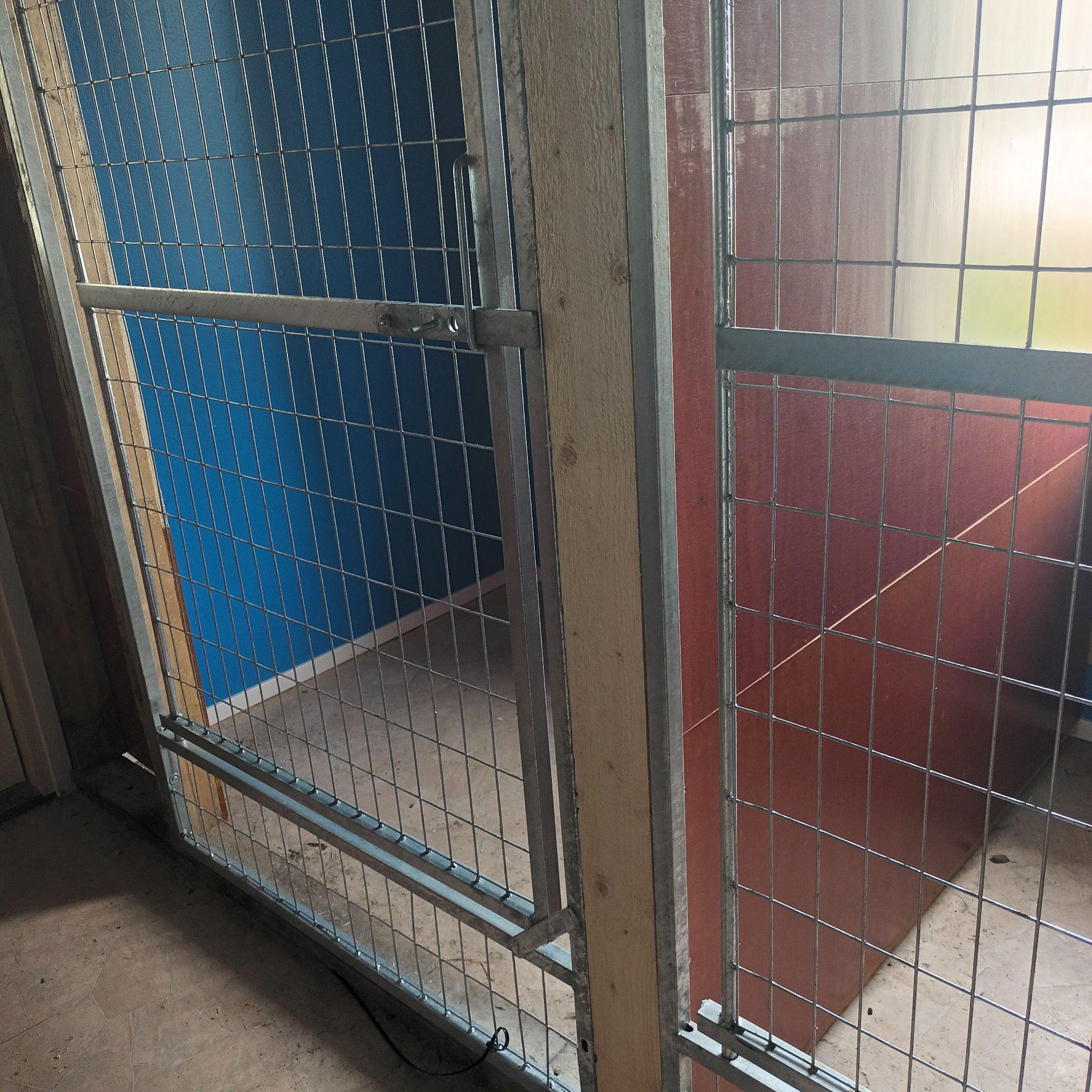 Images Taivallahden Tassut